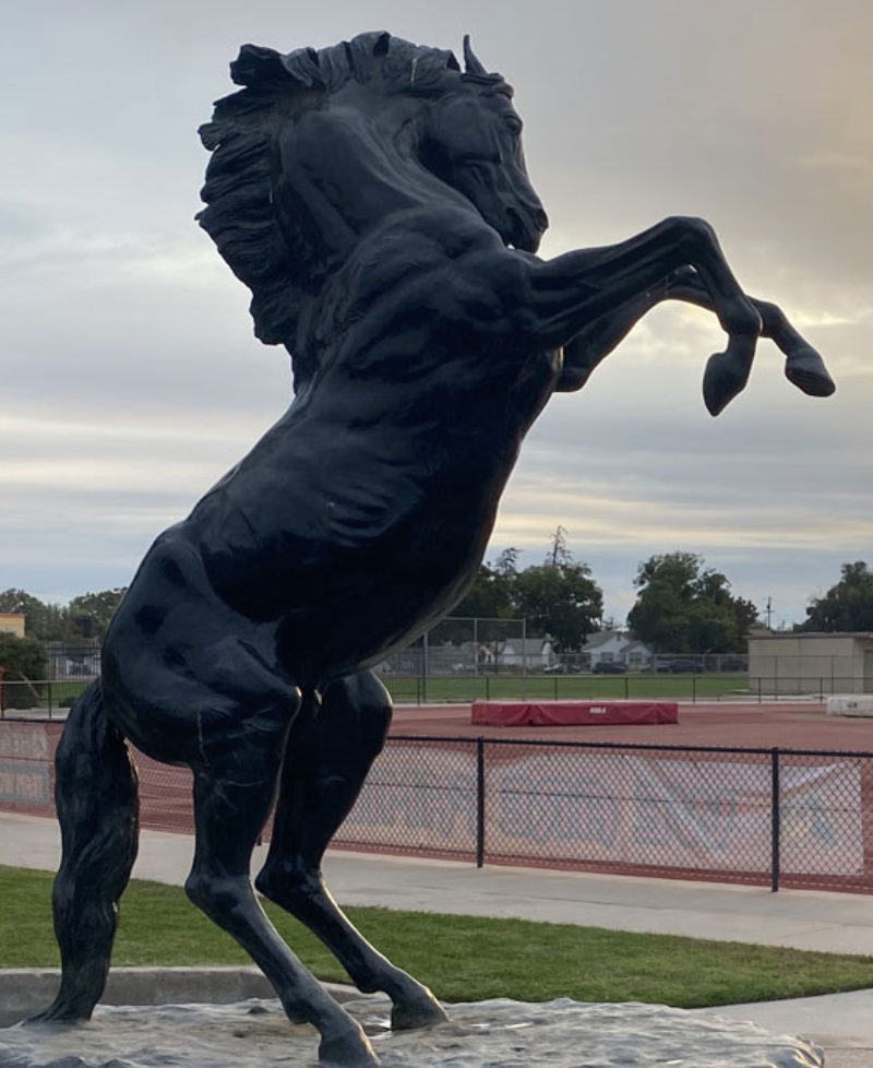 Oakdale Mustang